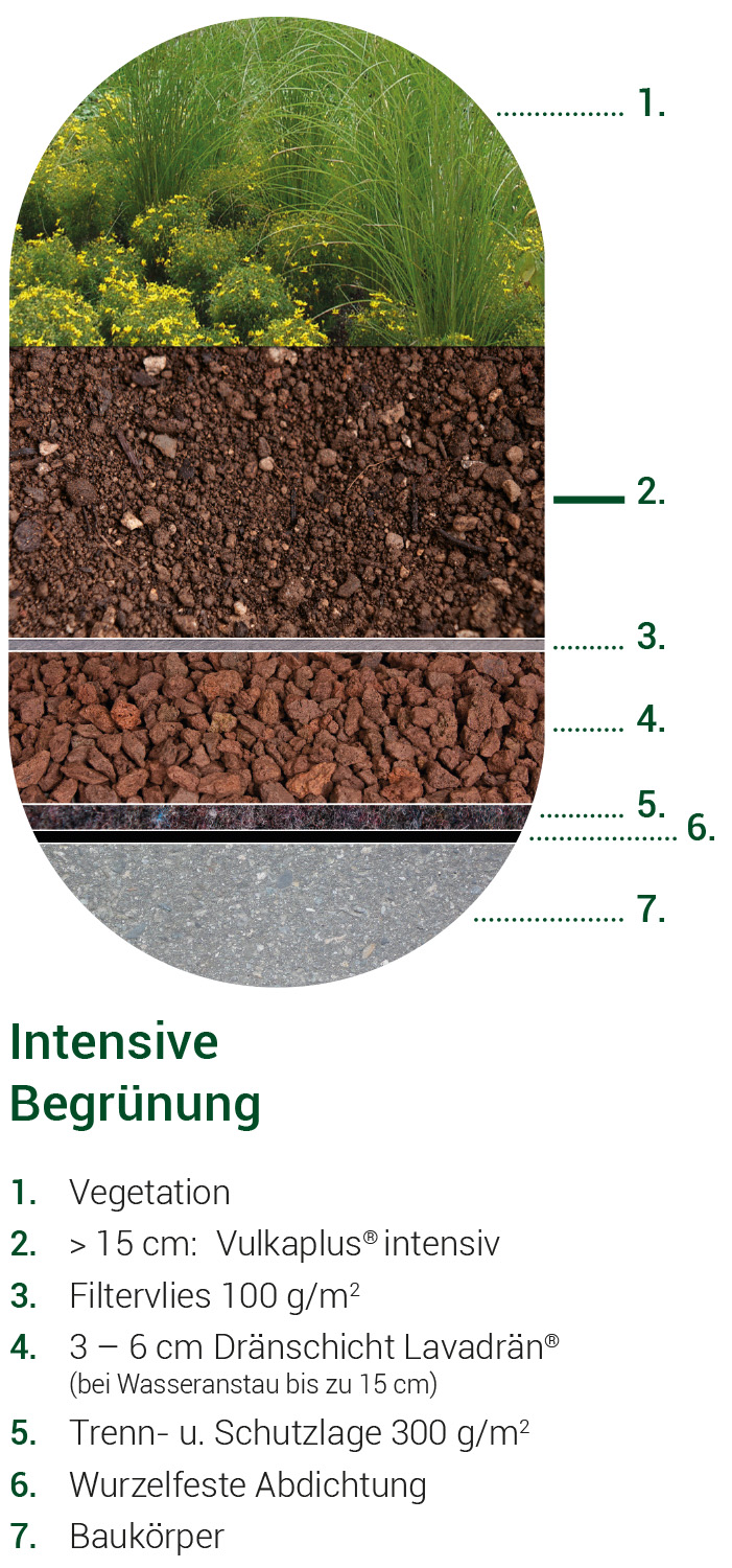 Grafik Extensive Mehrschicht Aufbau ohne Untersubstrat