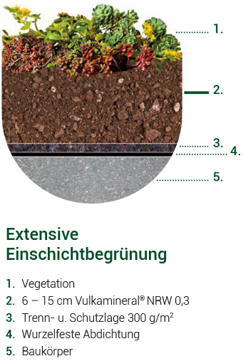 Grafik Extensive Einschicht